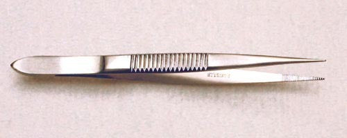 Splinter Forceps 3 1/2